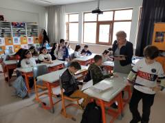 Evrensel Kolej